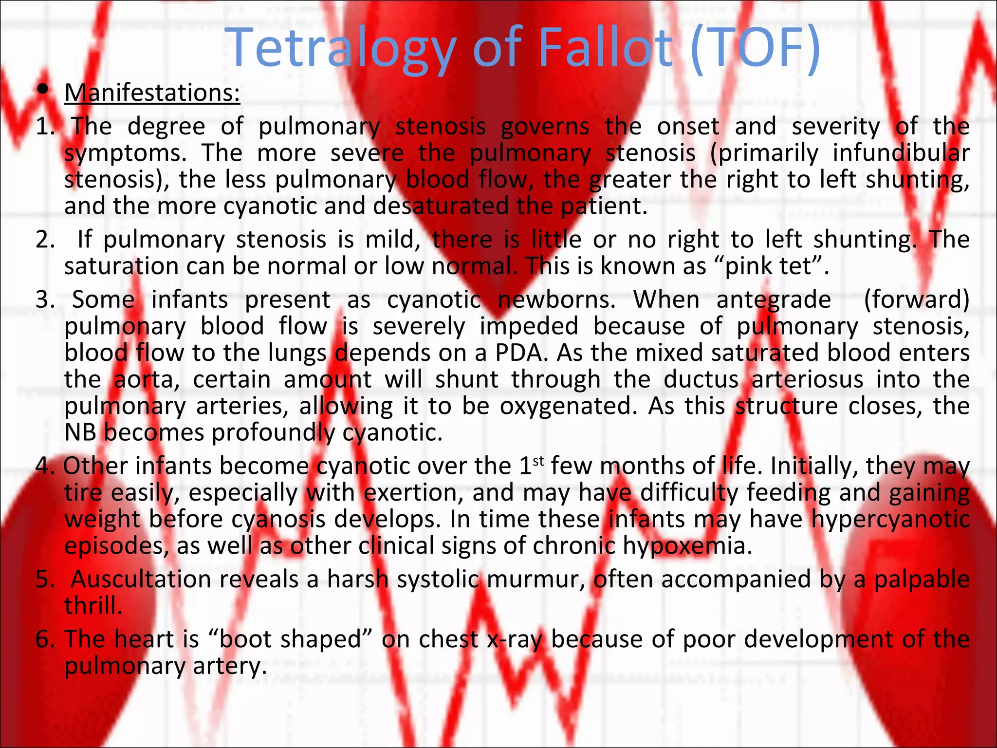 Tetralogy of Fallot (TOF) Manifestations: 1. The degree of pulmonary stenosis governs the onset and severity of the symptoms. The more severe the pulmonary stenosis (primarily infundibular stenosis), the less pulmonary blood flow, the greater the right to left shunting, and the more cyanotic and desaturated the patient. 2.  If pulmonary stenosis is mild, there is little or no right to left shunting. The saturation can be normal or low normal. This is known as “pink tet”. 3. Some infants present as cyanotic newborns. When antegrade  (forward) pulmonary blood flow is severely impeded because of pulmonary stenosis, blood flow to the lungs depends on a PDA. As the mixed saturated blood enters the aorta, certain amount will shunt through the ductus arteriosus into the pulmonary arteries, allowing it to be oxygenated. As this structure closes, the NB becomes profoundly cyanotic. 4. Other infants become cyanotic over the 1 st  few months of life. Initially, they may tire easily, especially with exertion, and may have difficulty feeding and gaining weight before cyanosis develops. In time these infants may have hypercyanotic episodes, as well as other clinical signs of chronic hypoxemia. 5.  Auscultation reveals a harsh systolic murmur, often accompanied by a palpable thrill.  6. The heart is “boot shaped” on chest x-ray because of poor development of the pulmonary artery. 