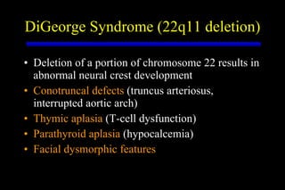 DiGeorge Syndrome (22q11 deletion) Deletion of a portion of chromosome 22 results in abnormal neural crest development Conotruncal defects  (truncus arteriosus, interrupted aortic arch) Thymic aplasia  (T-cell dysfunction) Parathyroid aplasia  (hypocalcemia) Facial dysmorphic features 