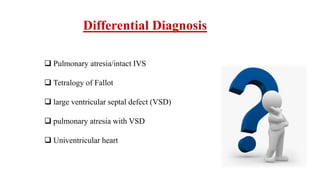 Differential Diagnosis
 Pulmonary atresia/intact IVS
 Tetralogy of Fallot
 large ventricular septal defect (VSD)
 pulmonary atresia with VSD
 Univentricular heart
 