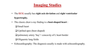 Imaging Studies
• The ECG usually has right axis deviation and right ventricular
hypertrophy.
• The classic chest x-ray finding is a boot-shaped heart :
 Small heart
 Uptilted apex (boot shaped)
 pulmonary artery ‘bay’= concavity of L heart border
 Oligaemic lung fields
• Echocardiography: The diagnosis usually is made with echocardiography.
 
