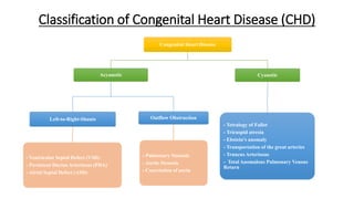 Classification of Congenital Heart Disease (CHD)
Congenital Heart Disease
Acyanotic
Left-to-Right-Shunts
- Ventricular Septal Defect (VSD)
- Persistent Ductus Arteriosus (PDA)
- Atrial Septal Defect (ASD)
Outflow Obstruction
- Pulmonary Stenosis
- Aortic Stenosis
- Coarctation of aorta
Cyanotic
- Tetralogy of Fallot
- Tricuspid atresia
- Ebstein's anomaly
- Transportation of the great arteries
- Truncus Arteriosus
- Total Anomalous Pulmonary Venous
Return
 