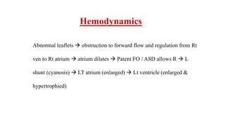 Hemodynamics
Abnormal leaflets  obstruction to forward flow and regulation from Rt
ven to Rt atrium  atrium dilates  Patent FO / ASD allows R  L
shunt (cyanosis)  LT atrium (enlarged)  Lt ventricle (enlarged &
hypertrophied)
 