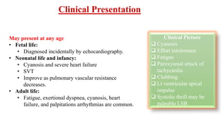 Clinical Presentation
Clinical Picture
 Cyanosis
 Effort intolerance
 Fatigue
 Paroxysmal attack of
tachycardia
 Clubbing
 Lt ventricular apical
impulse
 Systolic thrill may be
palpable LSB
May present at any age
• Fetal life:
• Diagnosed incidentally by echocardiography.
• Neonatal life and infancy:
• Cyanosis and severe heart failure
• SVT
• Improve as pulmonary vascular resistance
decreases.
• Adult life:
• Fatigue, exertional dyspnea, cyanosis, heart
failure, and palpitations arrhythmias are common.
 