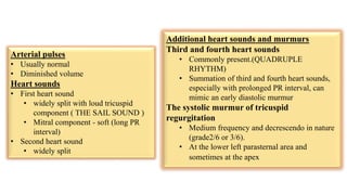 Additional heart sounds and murmurs
Third and fourth heart sounds
• Commonly present.(QUADRUPLE
RHYTHM)
• Summation of third and fourth heart sounds,
especially with prolonged PR interval, can
mimic an early diastolic murmur
The systolic murmur of tricuspid
regurgitation
• Medium frequency and decrescendo in nature
(grade2/6 or 3/6).
• At the lower left parasternal area and
sometimes at the apex
Arterial pulses
• Usually normal
• Diminished volume
Heart sounds
• First heart sound
• widely split with loud tricuspid
component ( THE SAIL SOUND )
• Mitral component - soft (long PR
interval)
• Second heart sound
• widely split
 