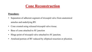 Cone Reconstruction
Procedure:
• Separation of adherent segment of tricuspid valve from anatomical
annulus and underlying RV.
• Cone created using released tricuspid valve tissue.
• Base of cone attached to AV junction
• Hinge point of tricuspid valve attached to AV junction.
• Atralized portion of RV reduced by elliptical resection or plication.
 