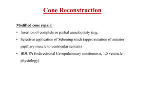 Cone Reconstruction
Modified cone repair:
• Insertion of complete or partial annuloplasty ring.
• Selective application of Sebening stitch (approximation of anterior
papillary muscle to ventricular septum)
• BDCPA (bidirectional Cavopulmonary anastomosis, 1.5 ventricle
physiology)
 