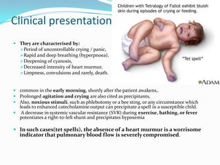 Clinical presentation and diagnosis
 They are characterised by:
Period of uncontrollable crying / panic,
Rapid and deep breathing (hyperpnoea),
Deepening of cyanosis,
Decreased intensity of heart murmur,
Limpness, convulsions and rarely, death.

 common in the early morning, shortly after the patient awakens,.
 Prolonged agitation and crying are also cited as precipitants,
 Also, noxious stimuli, such as phlebotomy or a bee sting, or any circumstance which
leads to enhanced catecholamine output can precipitate a spell in a susceptible child.
 A decrease in systemic vascular resistance (SVR) during exercise, bathing, or fever
potentiates a right-to-left shunt and precipitates hypoxemia

 In such cases(tet spells), the absence of a heart murmur is a worrisome
indicator that pulmonary blood flow is severely compromised.

 