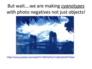 But wait….we are making cyanotypes
with photo negatives not just objects!
https://www.youtube.com/watch?v=I0ATpHCyYvU&nohtml5=False
 