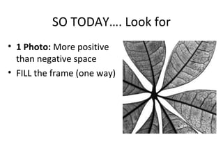 SO TODAY…. Look for
• 1 Photo: More positive
than negative space
• FILL the frame (one way)
 