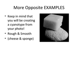 More Opposite EXAMPLES
• Keep in mind that
you will be creating
a cyanotype from
your photo!
• Rough & Smooth
• (cheese & sponge)
 