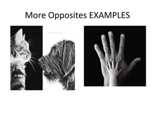 More Opposites EXAMPLES
 