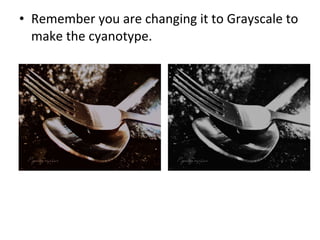 • Remember you are changing it to Grayscale to
make the cyanotype.
 