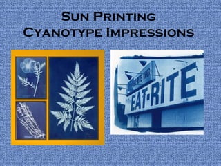 Sun Printing
Cyanotype Impressions
 