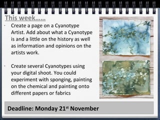 Deadline: Monday 21st
November
This week……
- Create a page on a Cyanotype
Artist. Add about what a Cyanotype
is and a little on the history as well
as information and opinions on the
artists work.
- Create several Cyanotypes using
your digital shoot. You could
experiment with sponging, painting
on the chemical and painting onto
different papers or fabrics
 