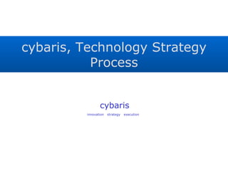 cybaris, Technology Strategy Process 