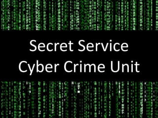 Secret Service Cyber Crime Unit 
