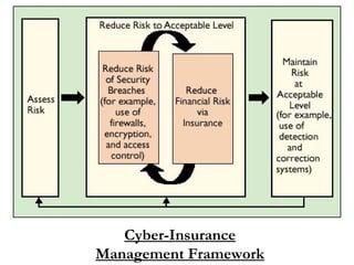 Cyber-Insurance Management Framework 