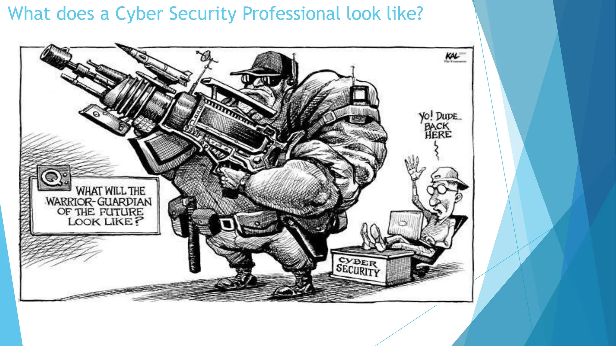 What does a Cyber Security Professional look like?
 