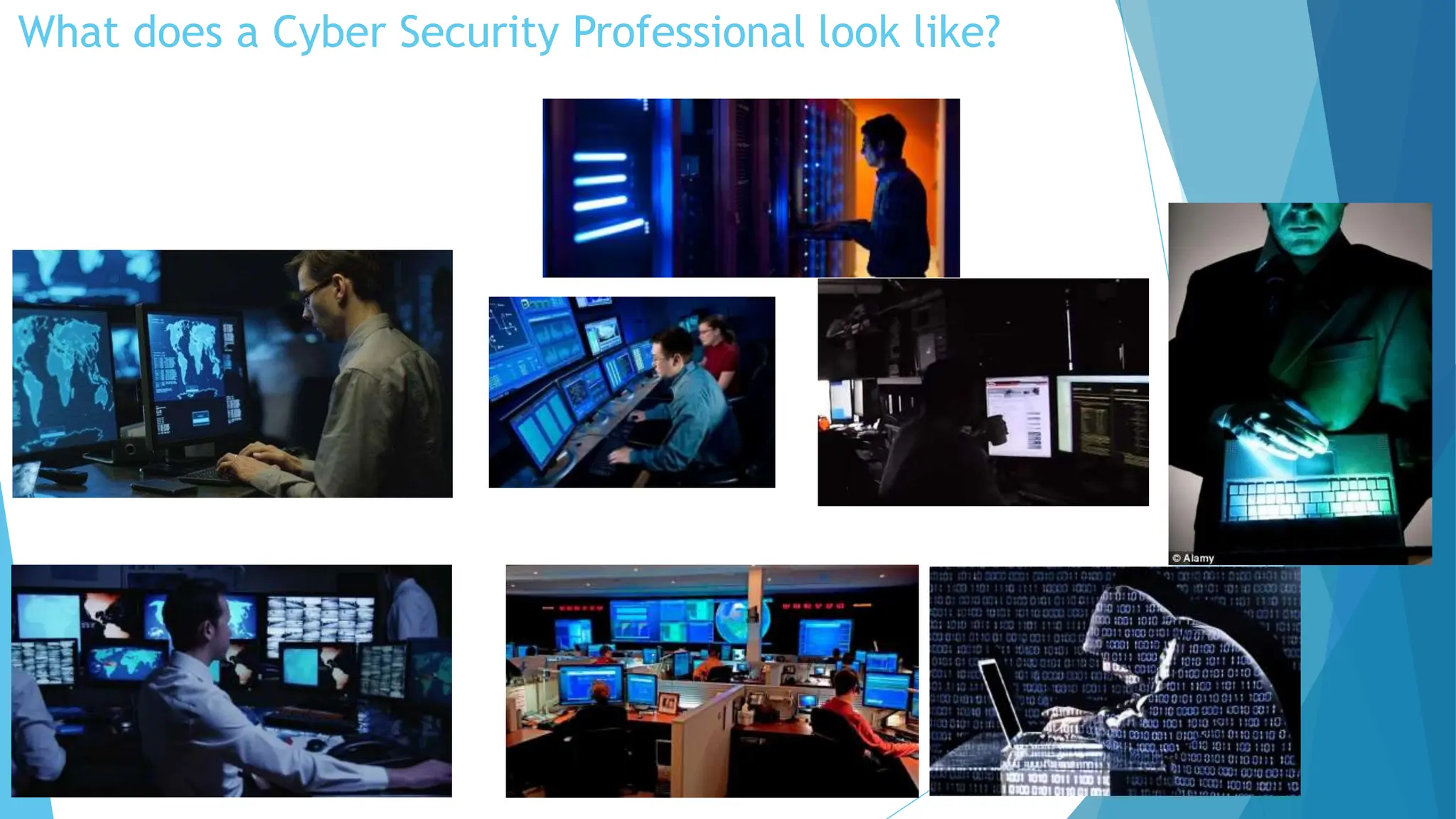 What does a Cyber Security Professional look like?
 