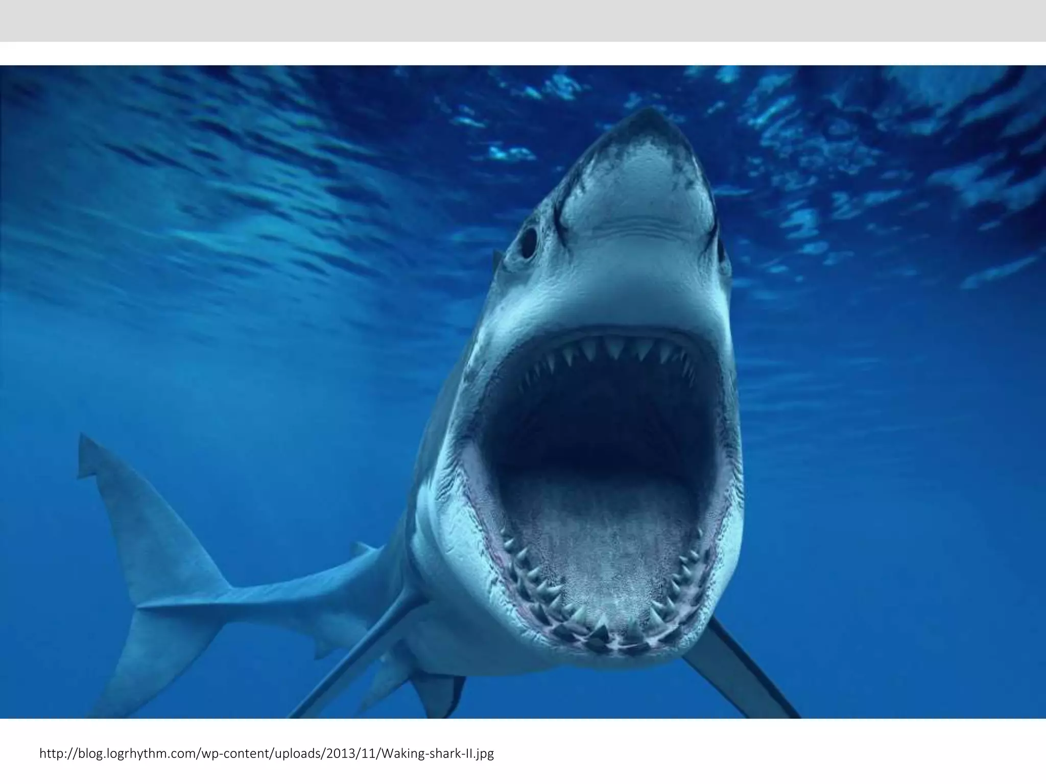 http://blog.logrhythm.com/wp-content/uploads/2013/11/Waking-shark-II.jpg 
 