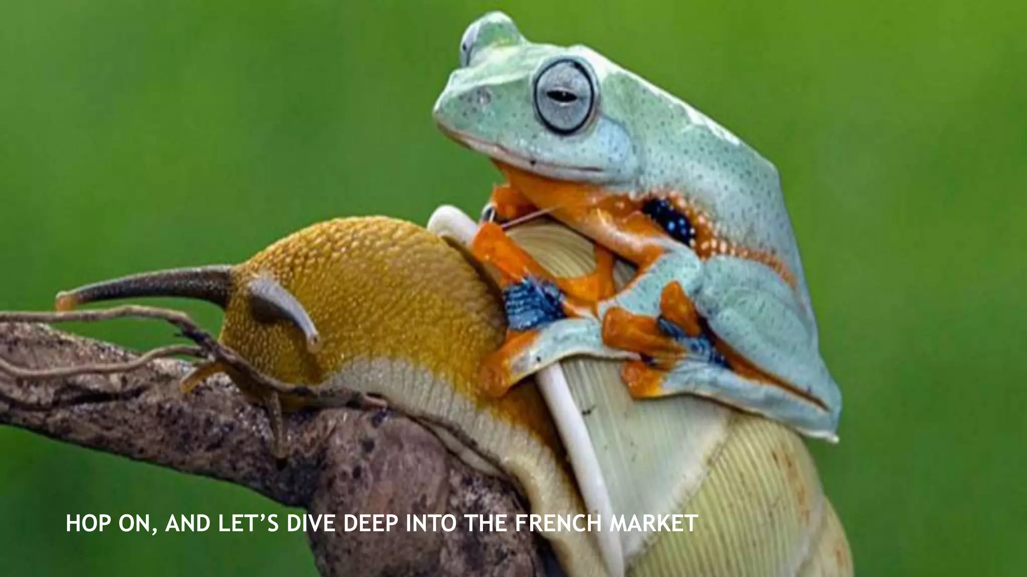 NOTE D’ÉTONNEMENT
4. AXES MEDIA ONLINE 2019 - 2020
HOP ON, AND LET’S DIVE DEEP INTO THE FRENCH MARKET
 