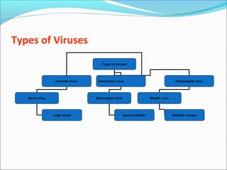 Types of Viruses
Types of viruses
Armored virus Companion virus Polymorphic virus
Macro virus Boot sector virus Stealth virus
Logic bomb Sparse infector Network viruses
 
