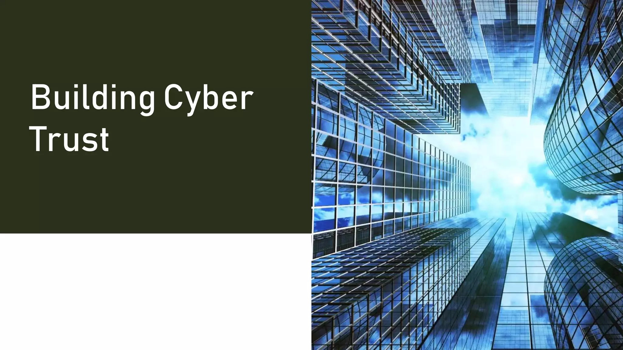 Building Cyber
Trust
 