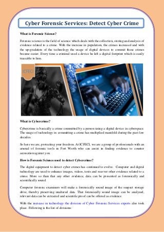 Cyber Forensic Services - Detect Cyber Crime