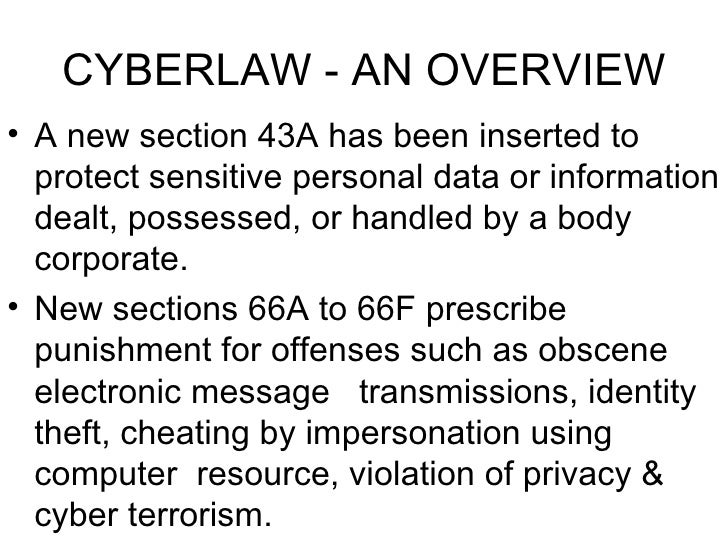 Cyberlaw An Overview