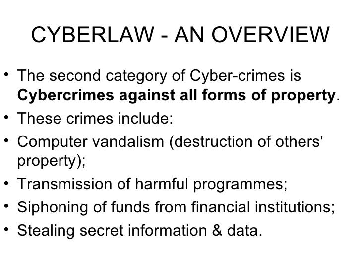 Cyberlaw An Overview