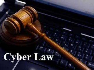 Cyber Law
 