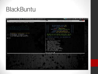 BlackBuntu
 