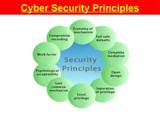 Cyber Security Principles
 