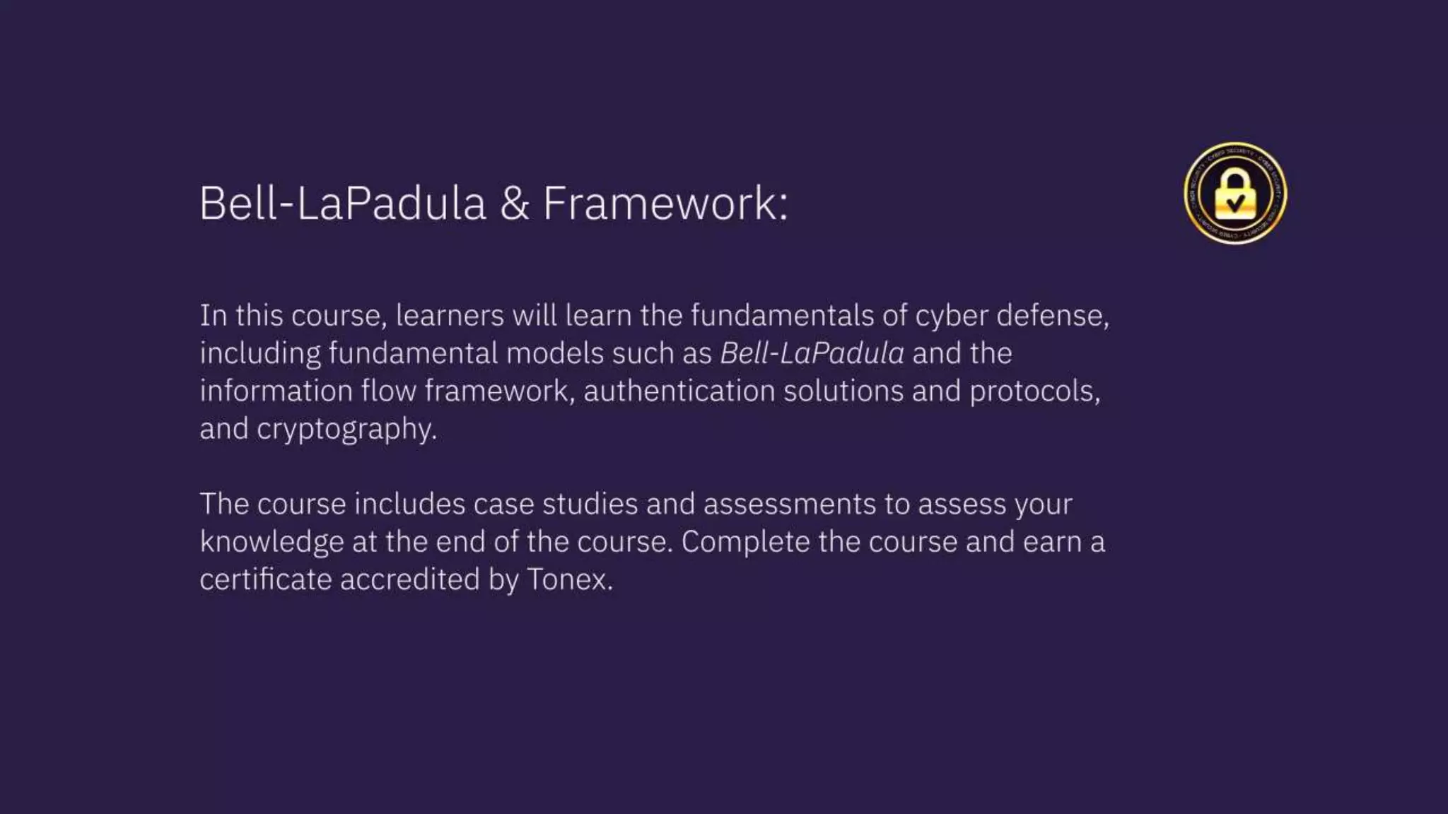 Cyber Security Certification Training Course, Seminars and Consulting Services by Tonex