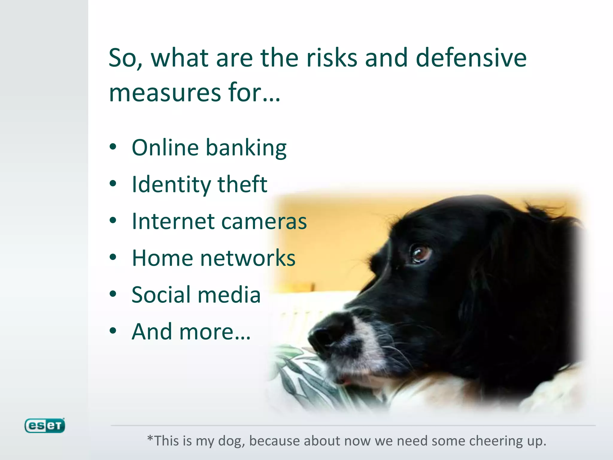 So, what are the risks and defensive
measures for…
• Online banking
• Identity theft
• Internet cameras
• Home networks
• Social media
• And more…
*This is my dog, because about now we need some cheering up.
 