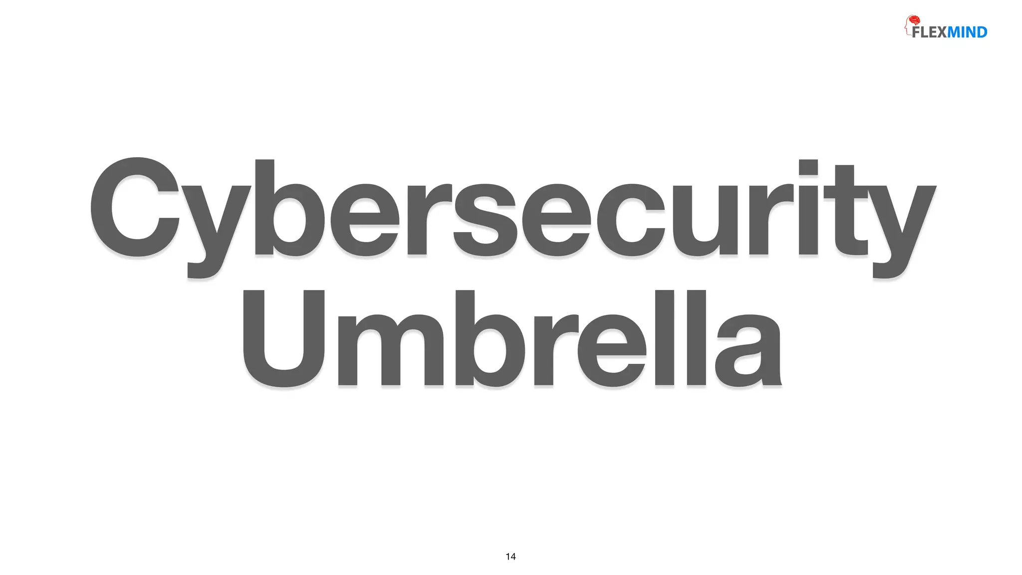 Cybersecurity
Umbrella
14
 