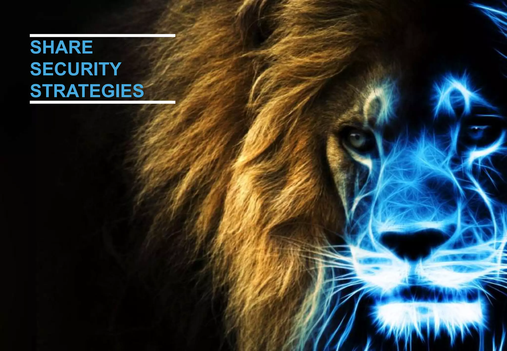 SHARE
SECURITY
STRATEGIES
 