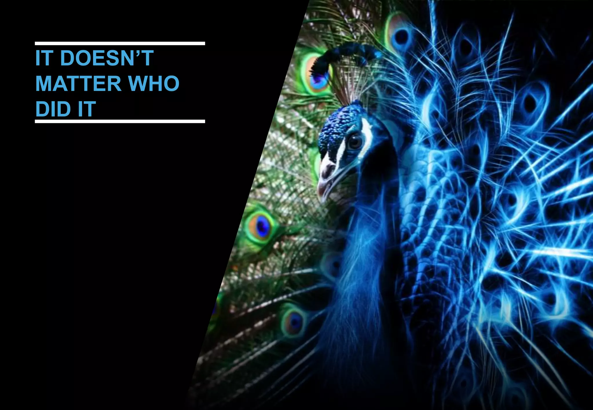 IT DOESN’T
MATTER WHO
DID IT
 