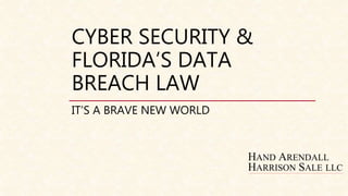 CYBER SECURITY &
FLORIDA’S DATA
BREACH LAW
IT’S A BRAVE NEW WORLD
 