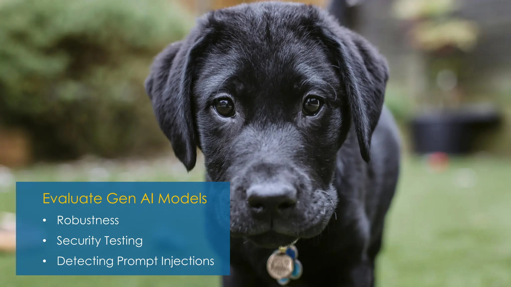 Evaluate Gen AI Models
• Robustness
• Security Testing
• Detecting Prompt Injections
 