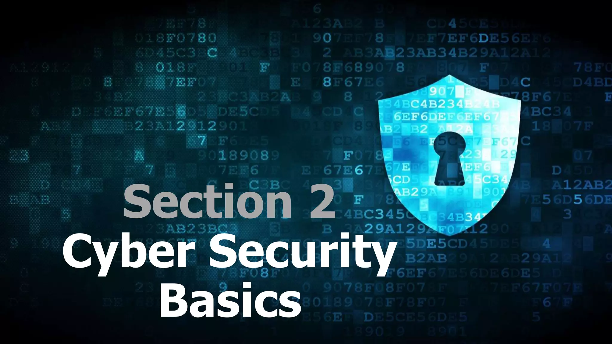Section 2
Cyber Security
Basics
 
