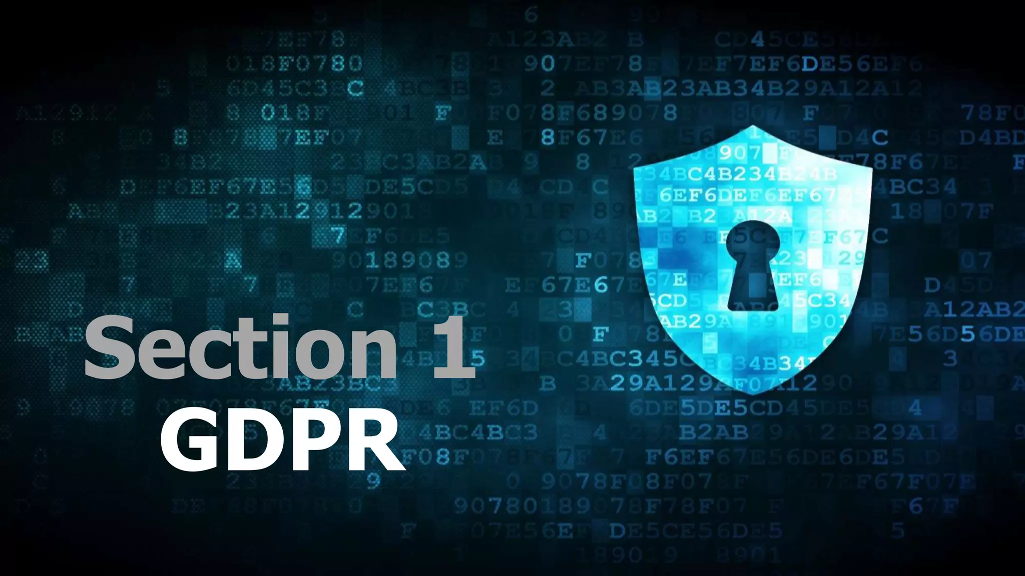Section 1
GDPR
 