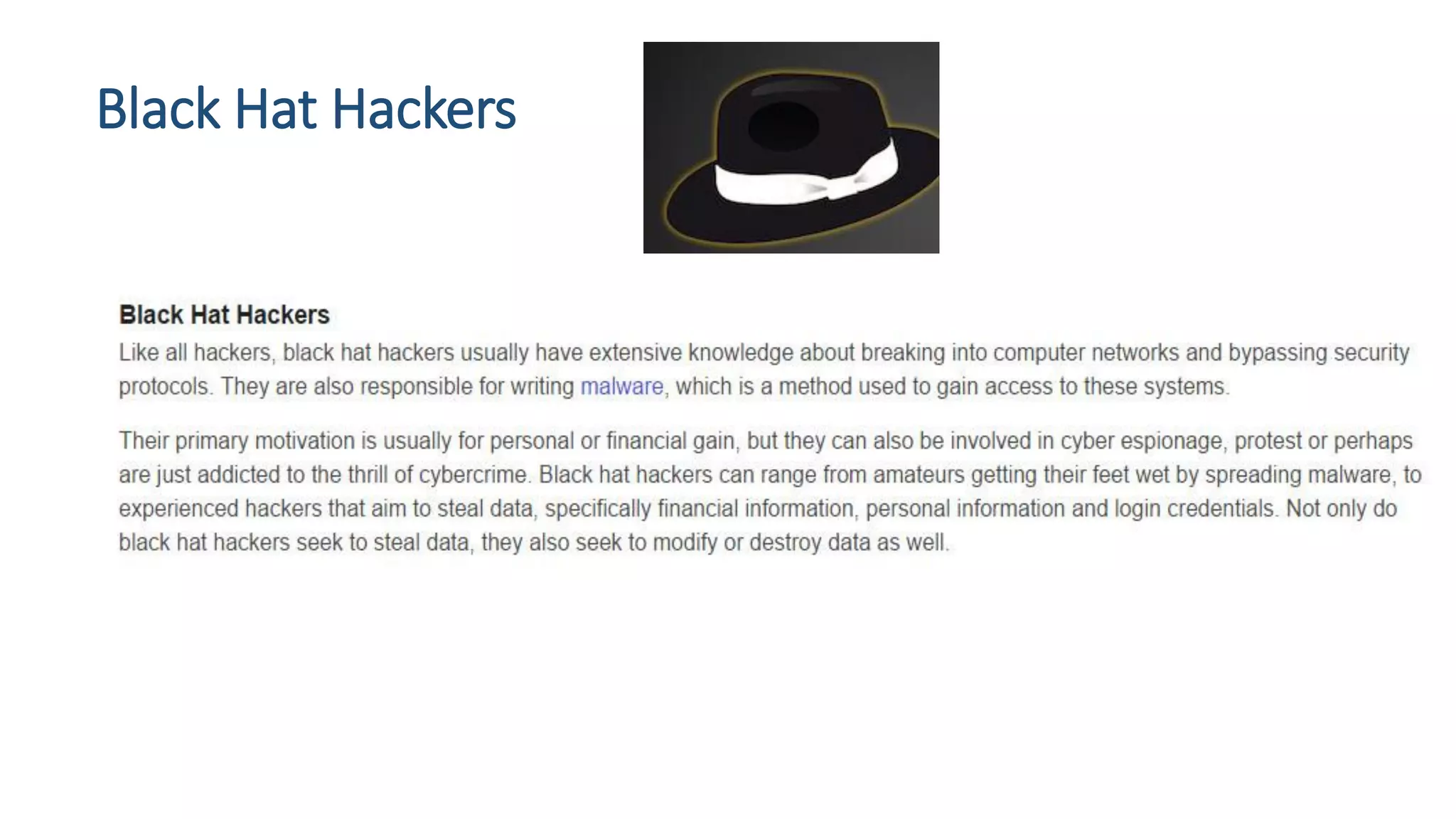 Black Hat Hackers
 