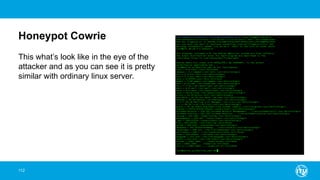 Honeypot Cowrie
112
This what’s look like in the eye of the
attacker and as you can see it is pretty
similar with ordinary linux server.
 