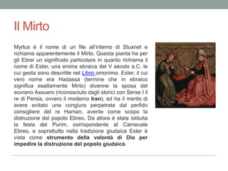 Il MirtoMyrtus è il nome di un file all’interno di Stuxnete richiama apparentemente il Mirto. Questa pianta ha per gli Ebrei un significato particolare in quanto richiama il nome di Ester, una eroina ebraica del V secolo a.C. le cui gesta sono descritte nel Libro omonimo. Ester, il cui vero nome era Hadassa (termine che in ebraico significa esattamente Mirto) divenne la sposa del sovrano Assuero (riconosciuto dagli storici con Serse I il re di Persia, ovvero il moderno Iran), ed ha il merito di avere evitato una congiura perpetrata dal perfido consigliere del re Haman, avente come scopo la distruzione del popolo Ebreo. Da allora è stata istituita la festa del Purim, corrispondente al Carnevale Ebreo, e soprattutto nella tradizione giudaica Ester è vista come strumento della volontà di Dio per impedire la distruzione del popolo giudaico.