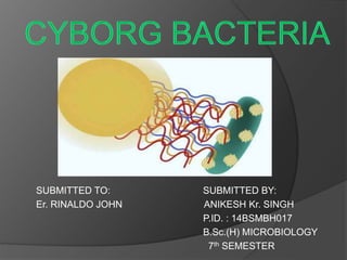 SUBMITTED TO: SUBMITTED BY:
Er. RINALDO JOHN ANIKESH Kr. SINGH
P.ID. : 14BSMBH017
B.Sc.(H) MICROBIOLOGY
7th SEMESTER
 