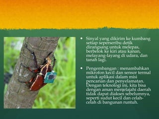  Sinyal yang dikirim ke kumbang
setiap seperseribu detik
dirangsang untuk melepas,
berbelok ke kiri atau kanan,
melayang-layang di udara, dan
tanah lagi.
 Pengembangan : menambahkan
mikrofon kecil dan sensor termal
untuk aplikasi dalam misi
pencarian dan penyelamatan.
Dengan teknologi ini, kita bisa
dengan aman menjelajahi daerah
tidak dapat diakses sebelumnya,
seperti sudut kecil dan celah-
celah di bangunan runtuh.
 