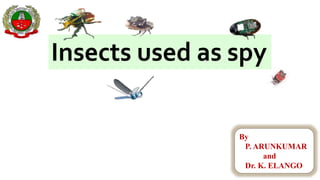 By
P. ARUNKUMAR
and
Dr. K. ELANGO
Insects used as spy
 