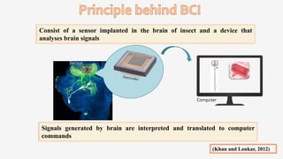 Insect Intel Cyborg insects as spy insects | PPTX