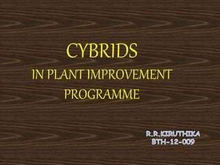 CYBRIDS 
IN PLANT IMPROVEMENT 
PROGRAMME 
 